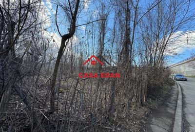 Teren intravilan in Campina--1565 mp--35.000e - 7