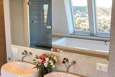 Priveliste Panoramica Spre Oras Si Masivul Tampa - 13