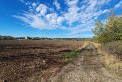 Investiție cu randament ridicat și profitabilitate sigură - 4