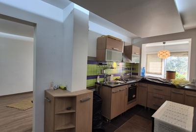 APARTAMENT 3 CAMERE DE VANZARE GORJULUI - 16