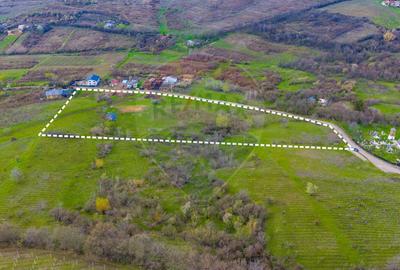 Teren 33.500 mp-Valea Orlei, Prahova/ COMISION 0% - 5