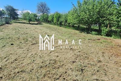 Casa 4 Camere | 1300 mp Teren | Miercurea Sibiului - 4