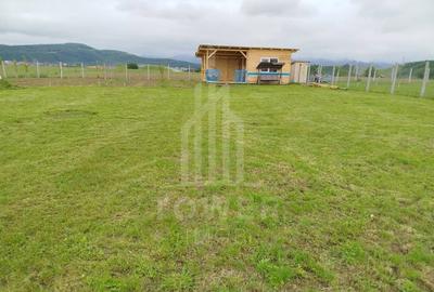 Grădină 862 mp cu cabanuta și pomi fructiferi – între Tălmaciu și Sadu - 7