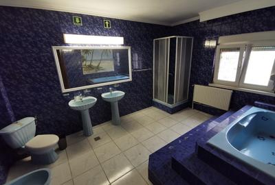 VILA | D+P+1 | BD. MAMAIA - 13