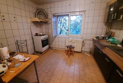 VANZARE 2 CAM 13 SEPTAMBRIE- NEDELEANU ION - 5