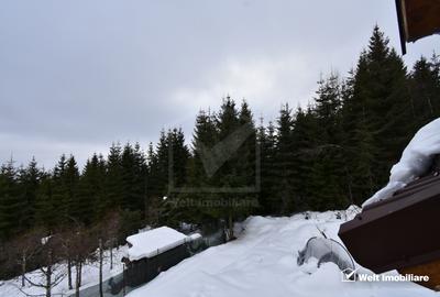 Cabana de vanzare in Muntele Baisorii aproape de partie - 17