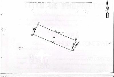 Teren cu livada perfect pentru CASA - 1.200 MP Sat Varlaam, Giurgiu - 10