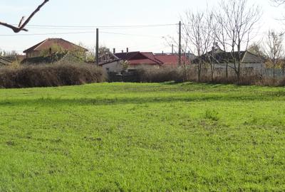 Teren cu casa, 3600mp, 4 camere de vanzare in Nicolae Balcescu - 3