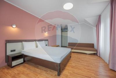 Casă / Vilă cu 16 camere de vânzare Sanmartin/Stefan cel Mare - 9