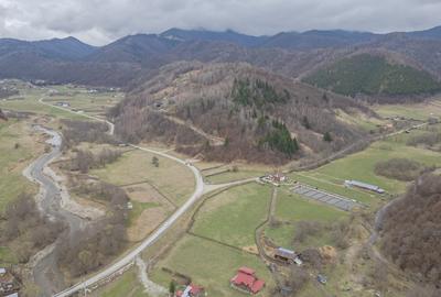 Teren intravilan, 6.900 mp, construibil – Plaiul Foii, Zărnești - 3