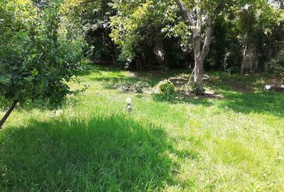 Teren de 3252mp zona Rompetrol cu casa D+P+E - 3