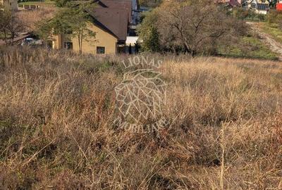Teren intravilan cu utilitati 1321 mp-panorama-Zona Zavoaie - 2
