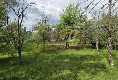 Teren de vanzare in Breaza, Nistoresti - 6