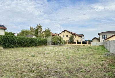 Teren de vanzare, 774 mp in Dumbravita - 3