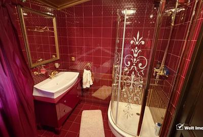 Vila superba in Andrei Muresanu, dotari de lux, piscina si SPA, 865 mp teren ! - 25