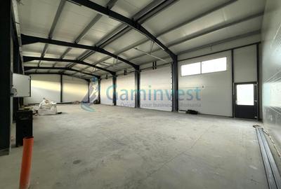 Hala industriala noua de inchiriat, Les, Bihor - 2