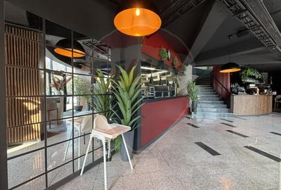 Spațiu comercial stradal I Restaurant la cheie I Mihai Bravu - 5