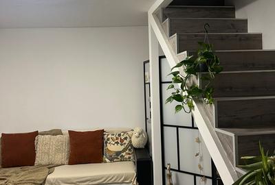 Apartament 2 camere de inchiriat in vila, cu gradina - 24