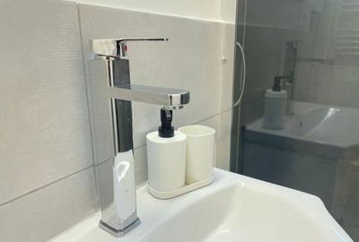 Apartament 2 camere-Take Ionescu Timisoara - 8