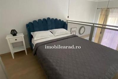 Apartament 60 Euro pe zi, amenajat in stil unic langa Primaria Arad - 9