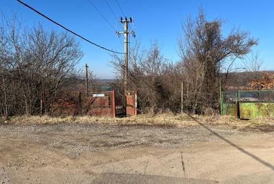 Gradistea- Ilfov, str. Nuferilor - 1000 mp - 8