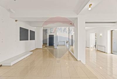 Spațiu comercial de închiriat DESTINAȚII MULTIPLE – zona Aradul Nou - 6