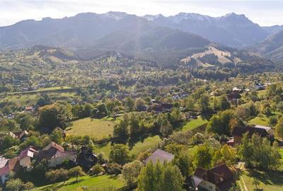 FILM! Proprietate notabila,ocazie personalizare, aprecat areal: Bran, Brasov - 21