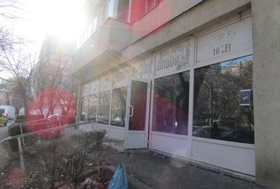 Inchiriere Spatiu Comercial Teiul Doamnei - Stradal - 105 mp - 6