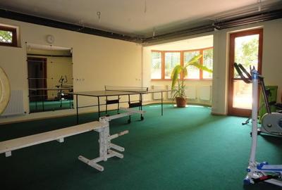 Băneasa  închiriez ap 3 cam vila et 2+mansarda mobilat tot 1 loc parcare garaj - 5