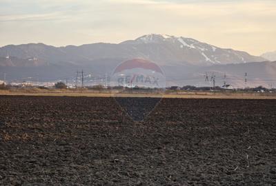 Teren intravilan, 30000 mp, zona Hanul din Ardeal - 15