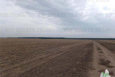 Oferim spre vanzare 6 loturi de teren extravilan (agricol) in Petrachioaia ILFOV - 5