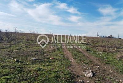 Techirghiol (cod04)-Teren 440 mp ideal investitie constructie casa - 3