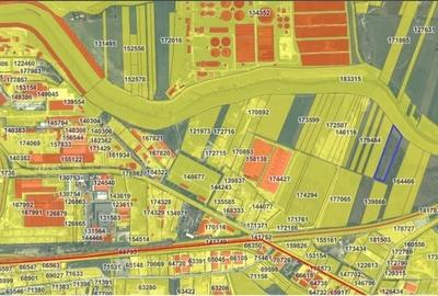 Teren industrial Family Market/B.M.T./Tomesti - 2