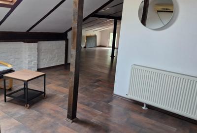 Inchiriere Apartament in Vila, parter+mansarda, zona Chibrit - 9