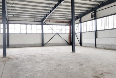 Hala noua de inchiriat, Parcul Industrial III, Uzinelor, Oradea, Bihor - 3