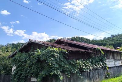 Casa spatioasa 8 camere+cladire auxiliara pretabil locuinta sau afacere+magazin - 12