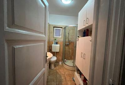 Vanzare Apartament in vila Parc Carol, Unirii - 4