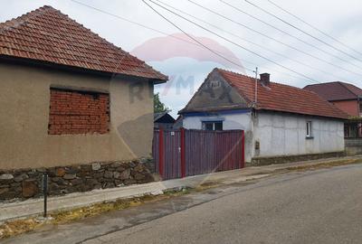 Casa traditionla de vanzare Marca / Salaj - 3