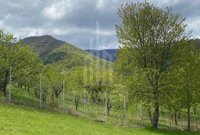 Teren 1042 mp în Tocilele de Sus – priveliște panoramică, utilități complete - 1