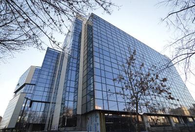 Birou, 350 mp în Muncii