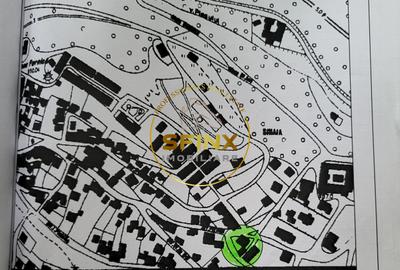 Sinaia, vila interbelica somptuoasa, necesita renovare, oportunitate - 12