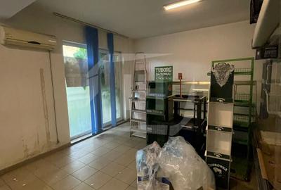 Spatiu comercial, 128 mp utili, 2 parcari, preluare chiriasi, zona Porii - 9