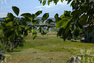 Teren intravilan 4600 mp cu front de 25 m pe strada Odobesti - 5