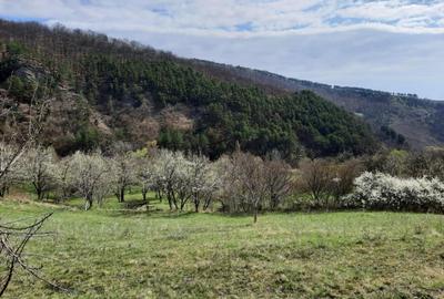 TEREN INTRAVILAN 13700 MP, INURI, VINTU DE JOS - 3