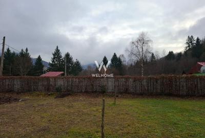 Teren deosebit pozitionat, cu livada, langa padure,  pe Valea Avrigului - 9