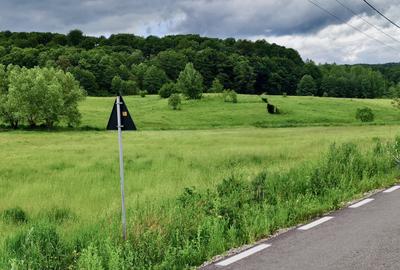 Teren la pădure, panoramic dealuri si păduri, curent si asfalt - 8