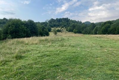 Teren intravilan unic dezvoltare turistica PUZ S+D+P+2,3M hotel, case de vacanta - 14