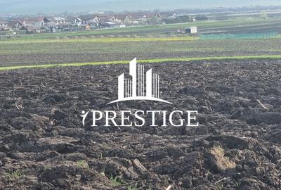 TEREN DE VÂNZARE ȘURA MICĂ 10.000 MP | 2 FRONTURI STRADALE, INVESTIȚIE - 6