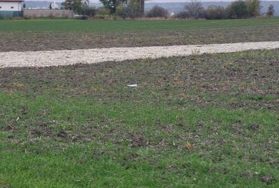 Teren 500 mp cu Autorizație de Construire și proiect pt casă parter. Utilități. - 1
