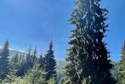 Teren Intravilan Predeal - Acces direct DN - Priveliste deosebita - 39